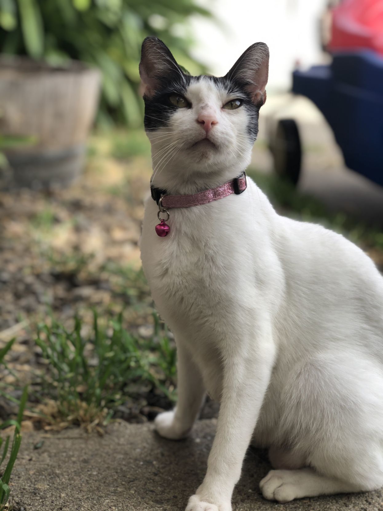 Luna